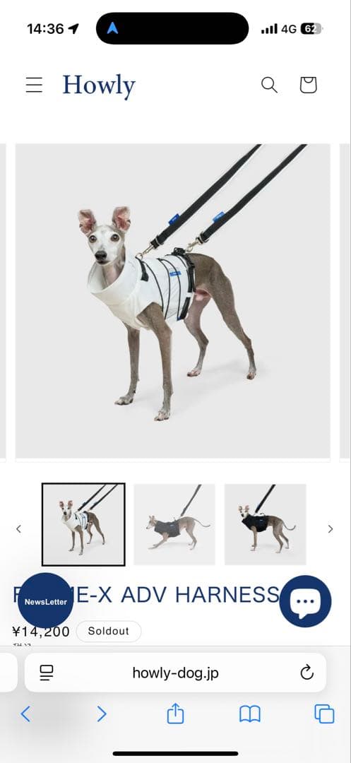 【Mサイズ白】 試着のみHowly FRAME-X ADV HARNESS