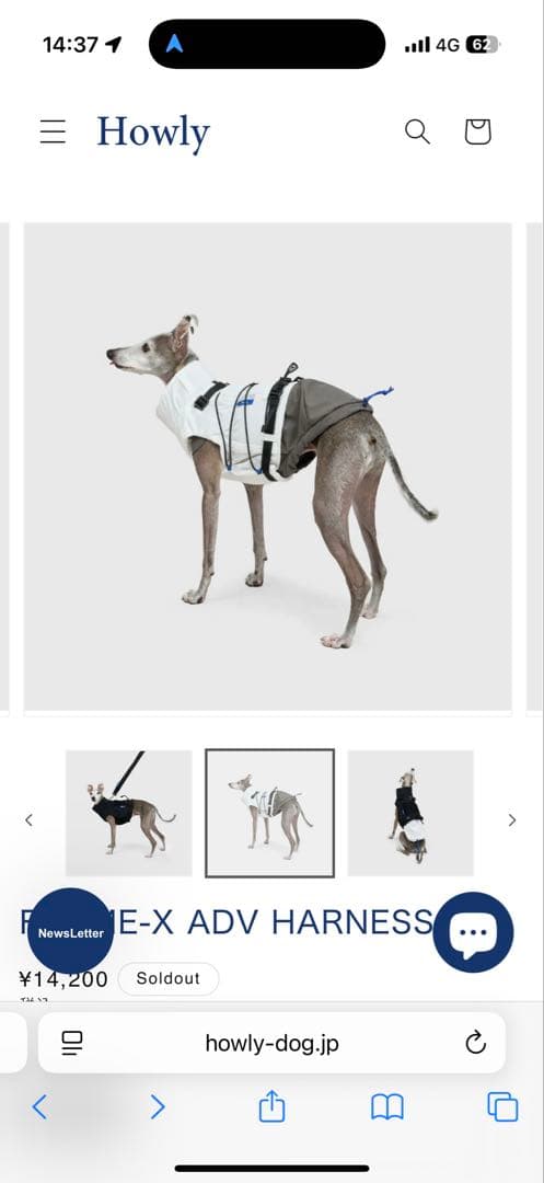 【Mサイズ白】 試着のみHowly FRAME-X ADV HARNESS