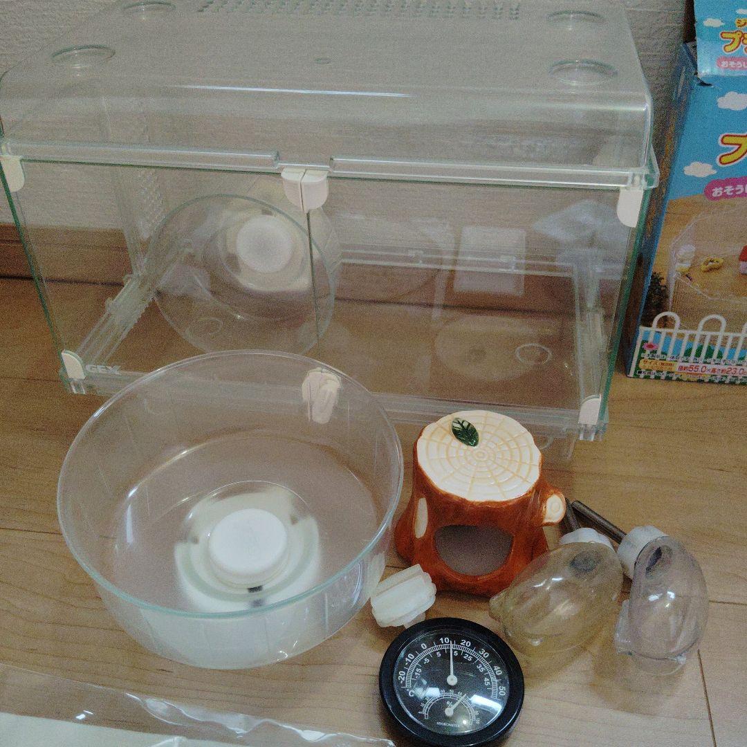 ハリネズミ ハムスター 飼育セット