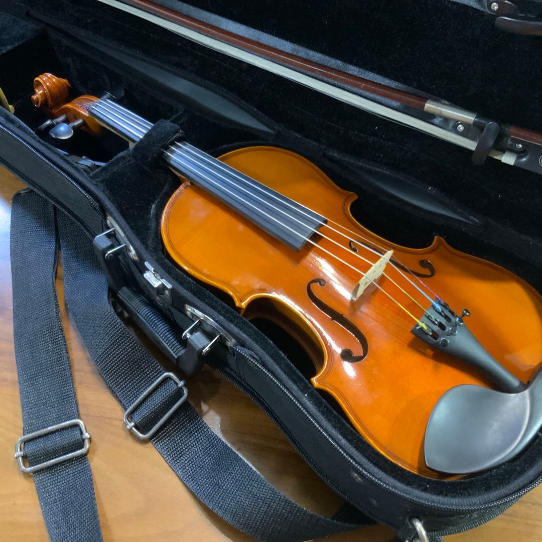 Andreas Eastman VL80 1/4 2017 イーストマン