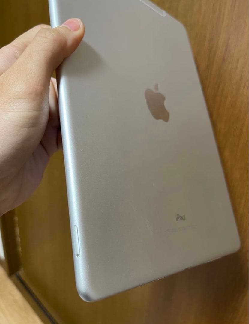 iPad本体 Ipad pro 2017 64GB