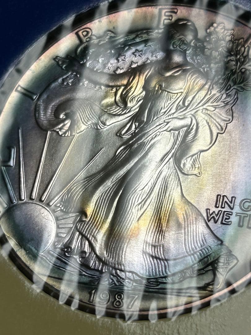 アメリカ 1987 Walking Liberty銀貨 美ブルートーン 1$