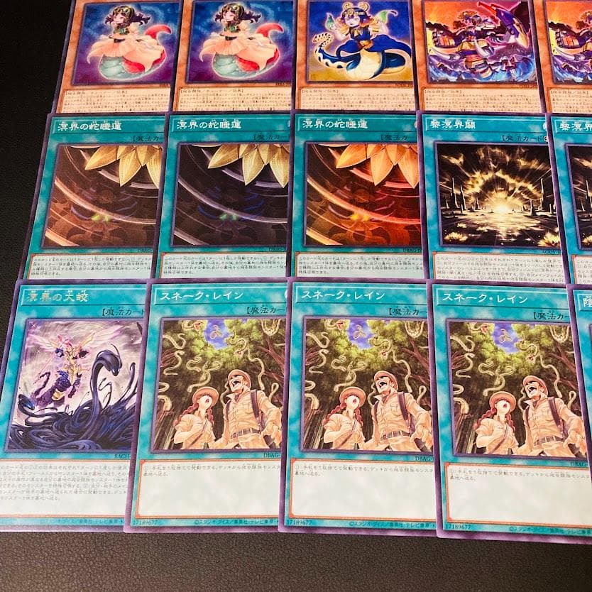 d78遊戯王 溟界 構築済みデッキ 本格構築