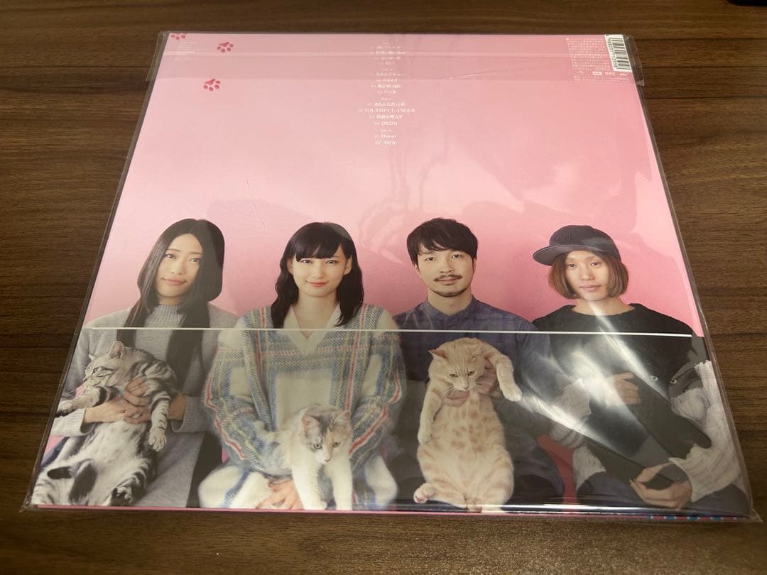 きのこ帝国　アナログ　レコード　猫とアレルギー　タイム・ラプス