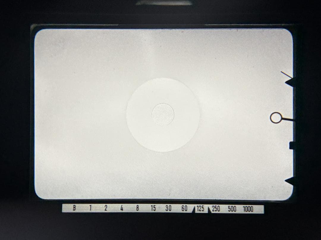 ミノルタ SRT101 & MC ROKKOR-PF 50mm F1.7 #61