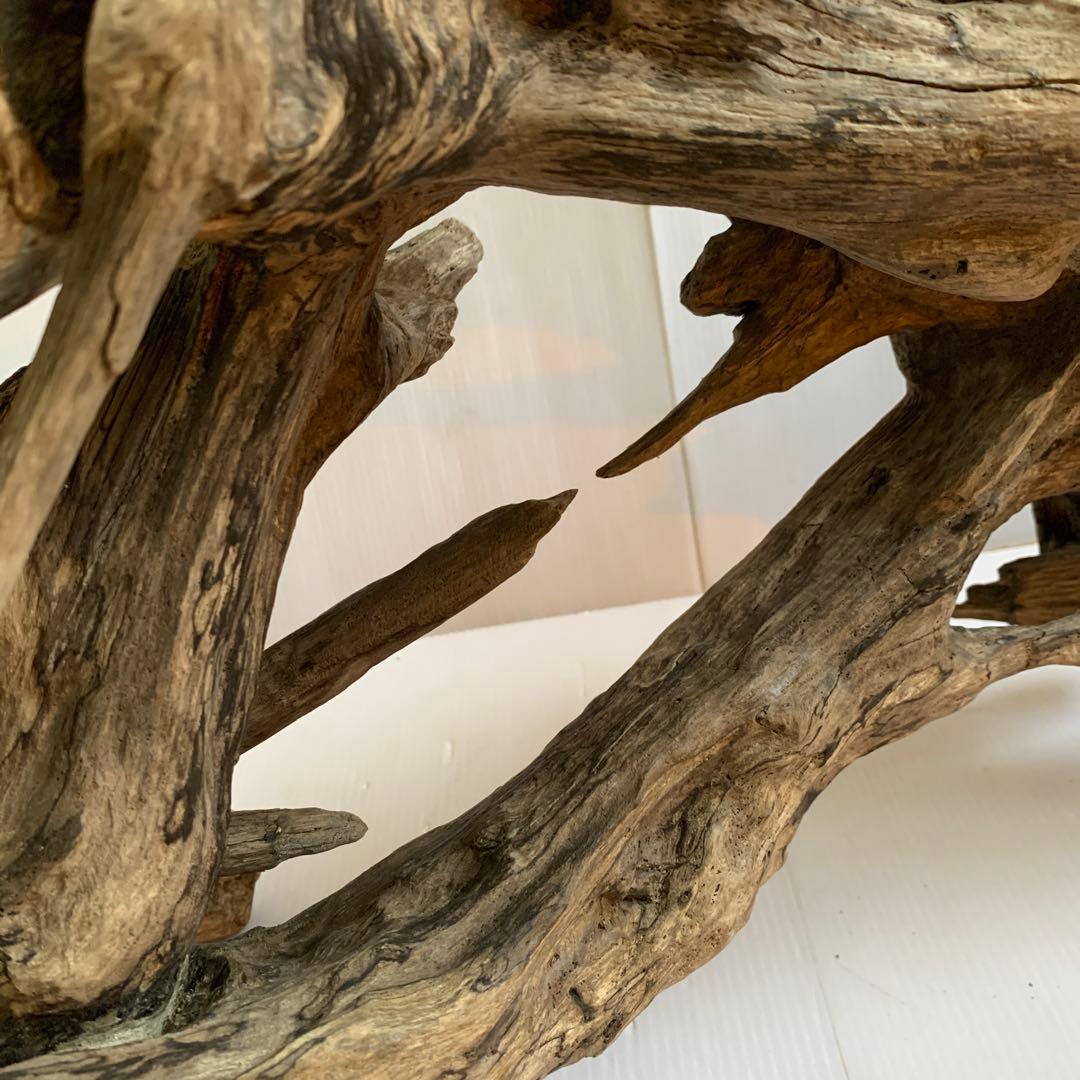 銀*時様 アク抜き済み流木　No.10 超レア型　沈水確認済