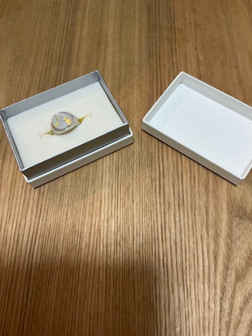 Taiga Okuyama シグネットリング　10号程度