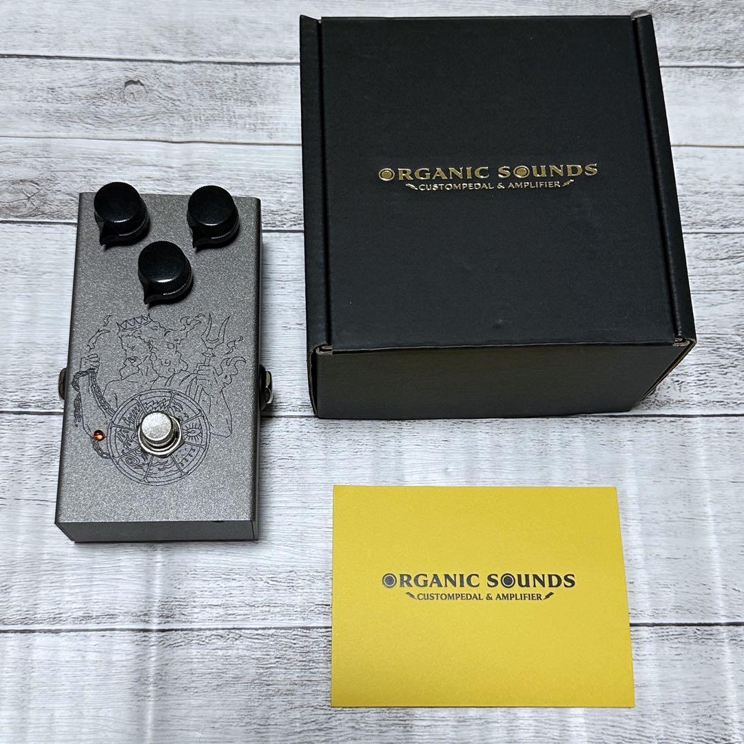 ギター Organic Sounds \"Hades\"