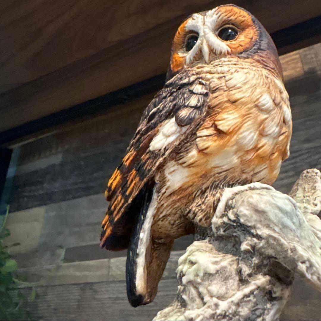 希少　美品　FLORENCE社　ジュゼッペアルマーニ　モリフクロウ　ITALY製