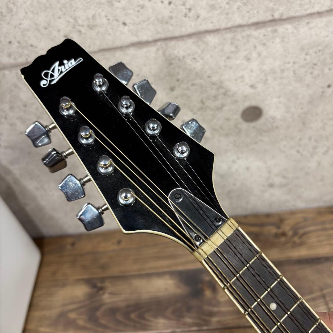 エレキマンドリン Aria AM-20E ピックアップ搭載 ケース2個付き