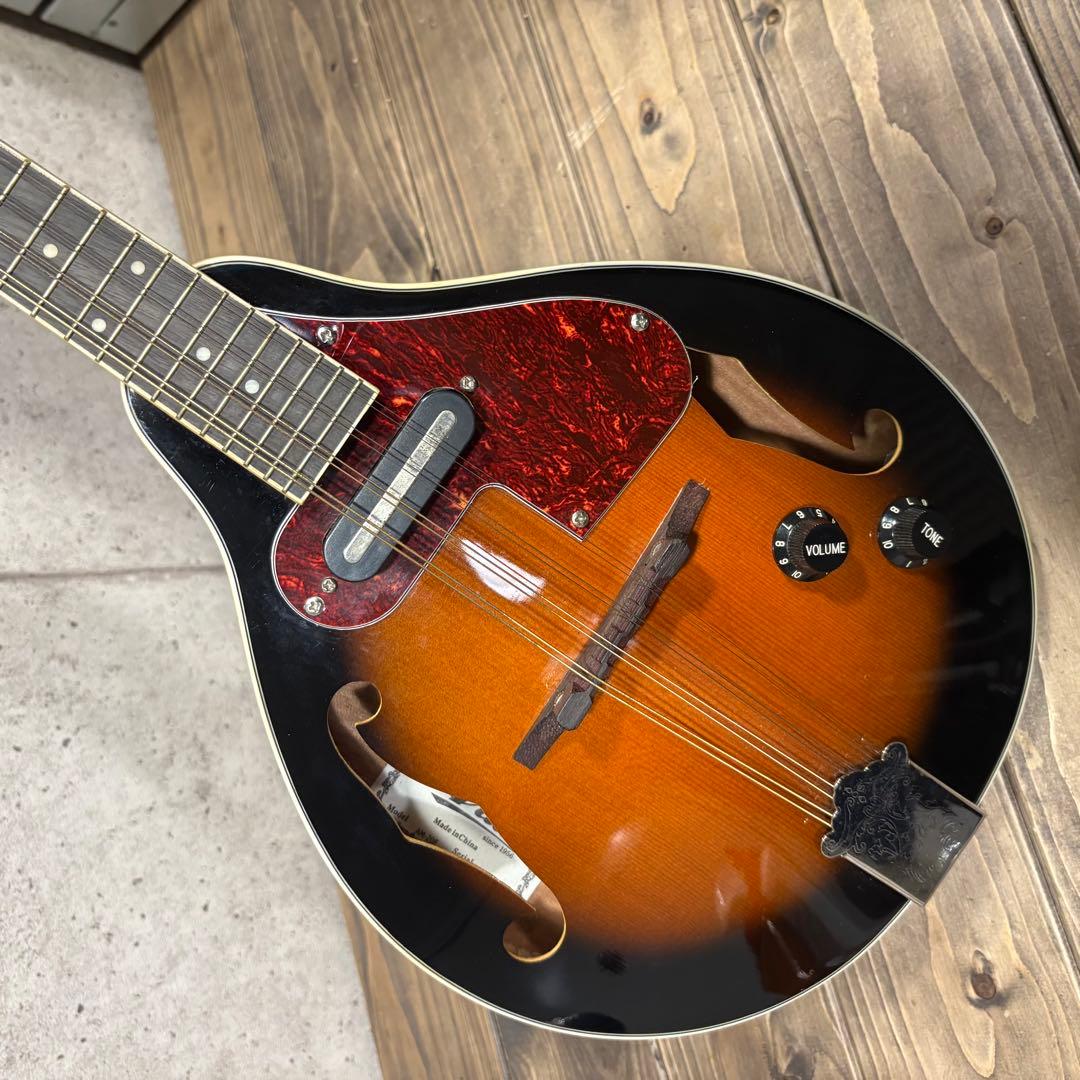 エレキマンドリン Aria AM-20E ピックアップ搭載 ケース2個付き