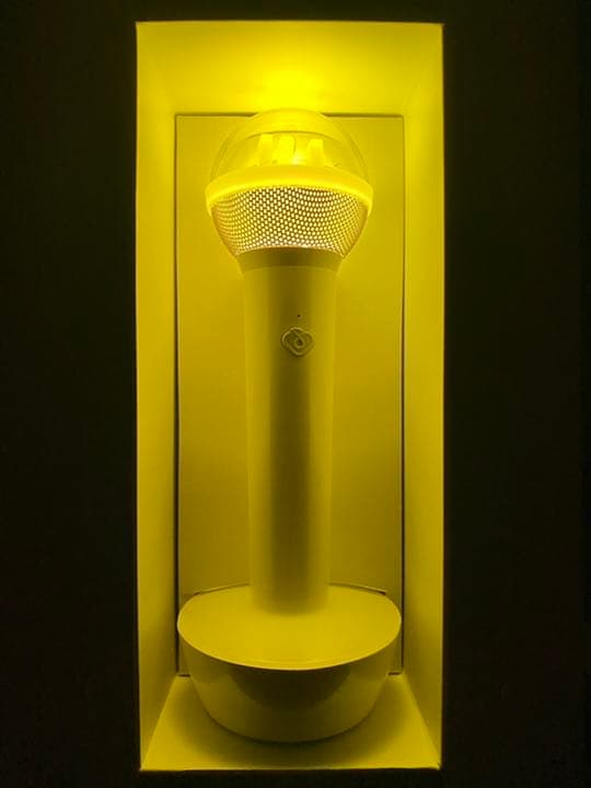 IU ペンライト 2018年 2.0 ライトスティック アイク 公式 アイユー