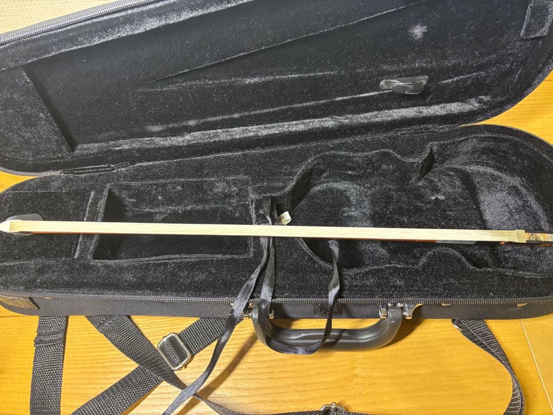 Carlo Giordano カルロジョルダーノ1/8 バイオリン VS-1