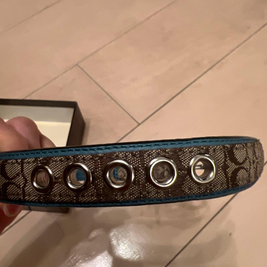 COACH 犬用首輪 ブラウン・ブルー