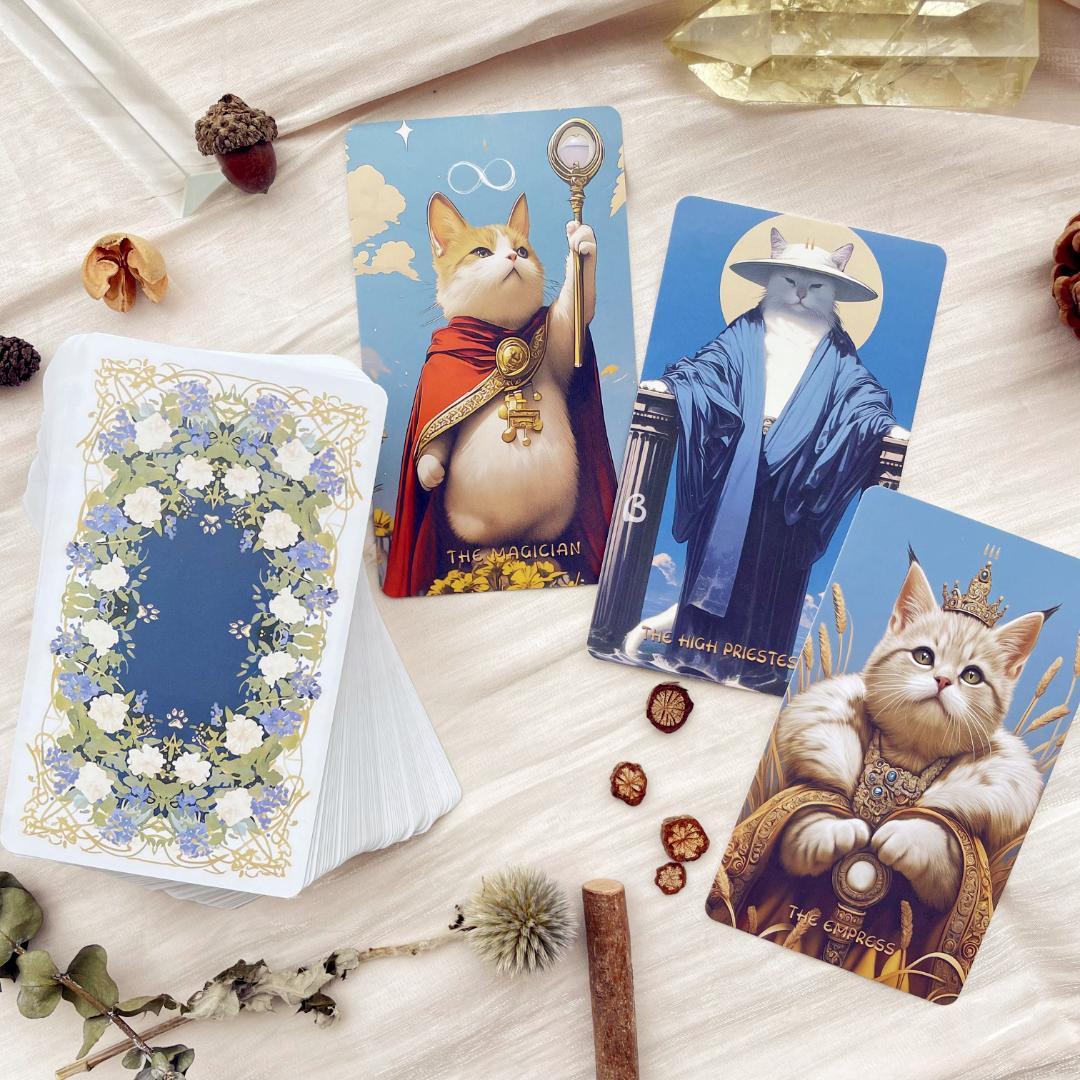 Midnightは猫が好きཐི♡⃘ཋྀ★タロット