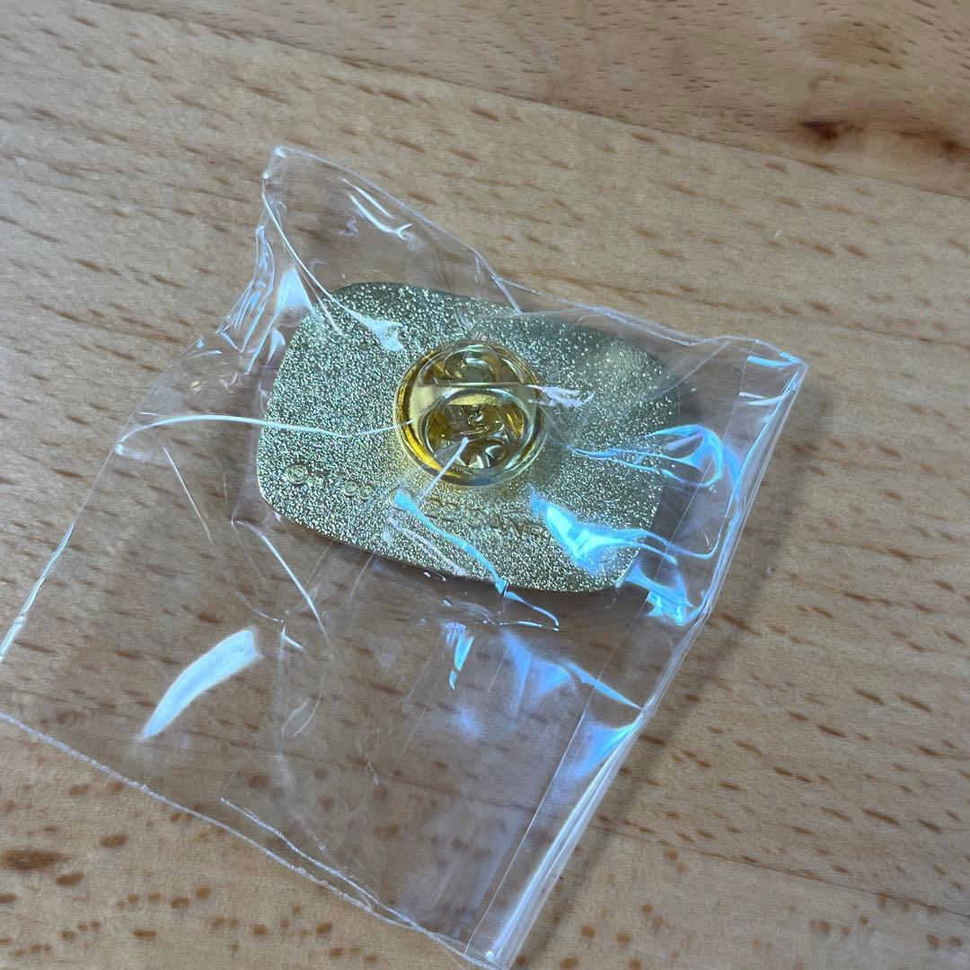 ちいかわ×サンリオキャラクターズ ピンズコレクション①