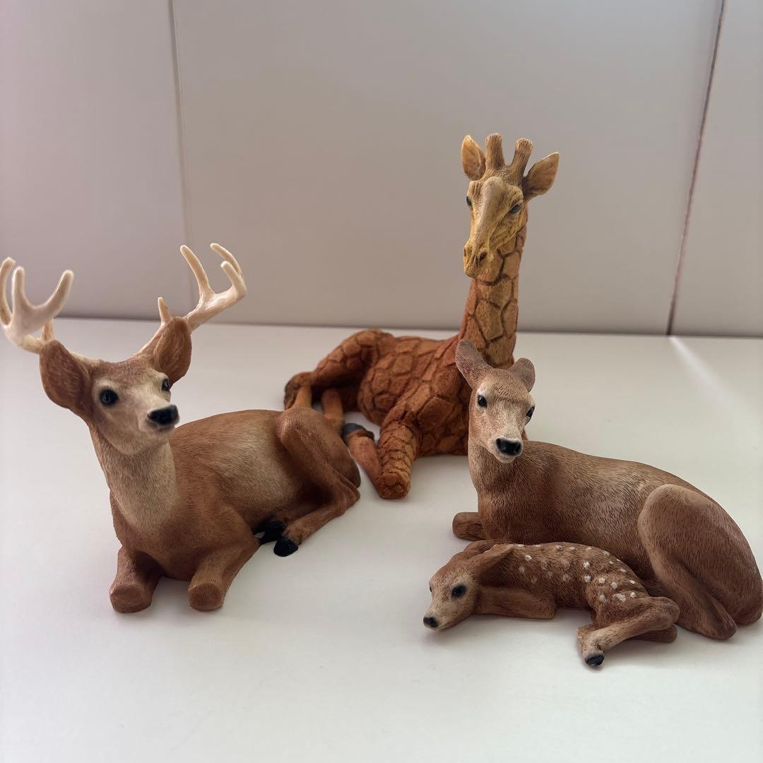 Castagna カスターニャ　20体