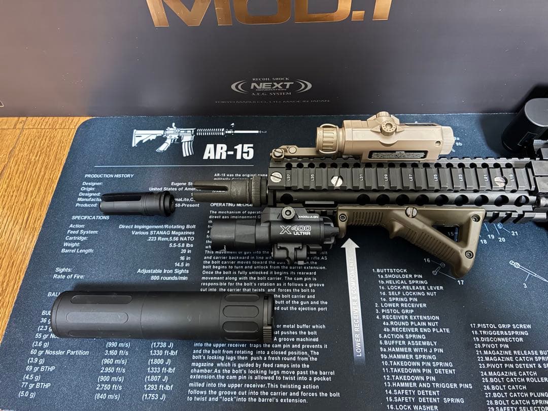 パパイヤ　mk18