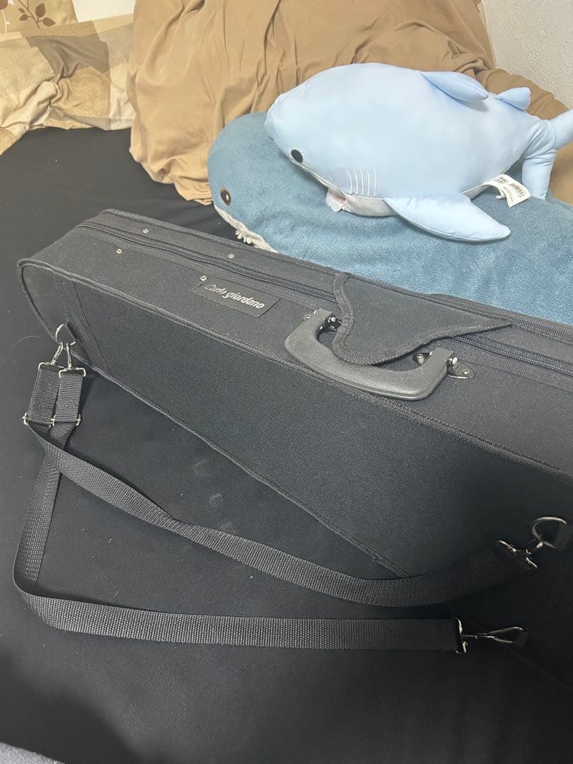 カルロジョルダーノ エレキバイオリン ブルー