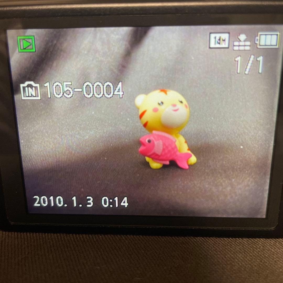 ★Panasonic　コンパクトデジタルカメラ LUMIX DMC-TZ20