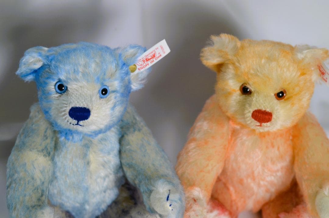 シュタイフ テディベア 「ハロー2000／グッバイ1999」 ベアセット