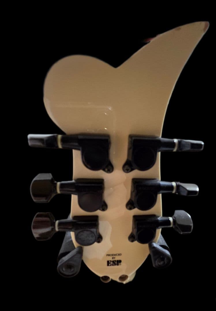 m*1様 Edwards ES-150PR LUNASEA SUGIZO プリン