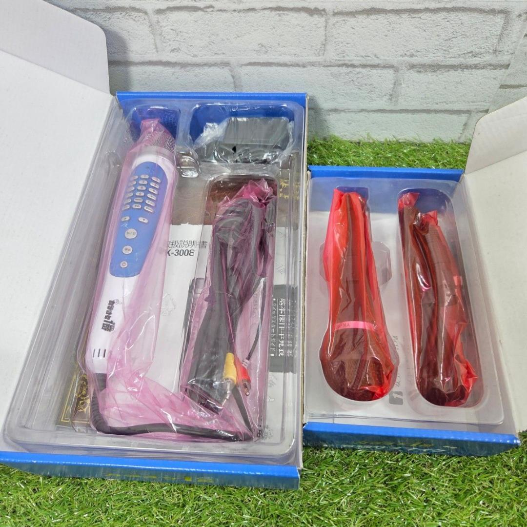 カラオケ一番 本体セット 専用有線サブマイク付き 家庭用 カラオケマイク