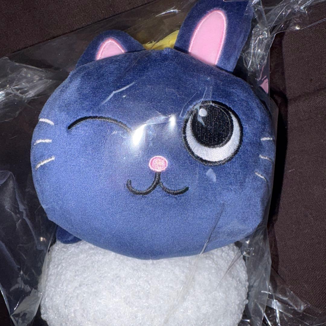 RIIZE らいずし トニャンドク　ぬいぐるみ　細巻キーホルダー　寿司皿キー