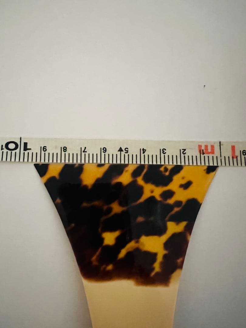 三味線本体、ハードケース、先べっ甲撥