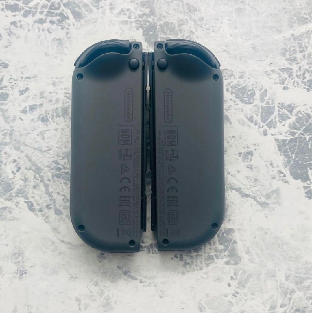 あ*ん様 Nintendo Switch 本体 グレー マイクロファイバー付き