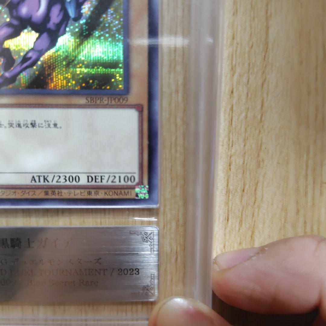 暗黒騎士ガイア ブルシク ars10