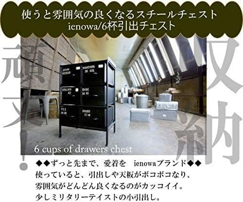 【北欧スタイル】ブランドienowa 2列3段スチールチェスト57cm幅