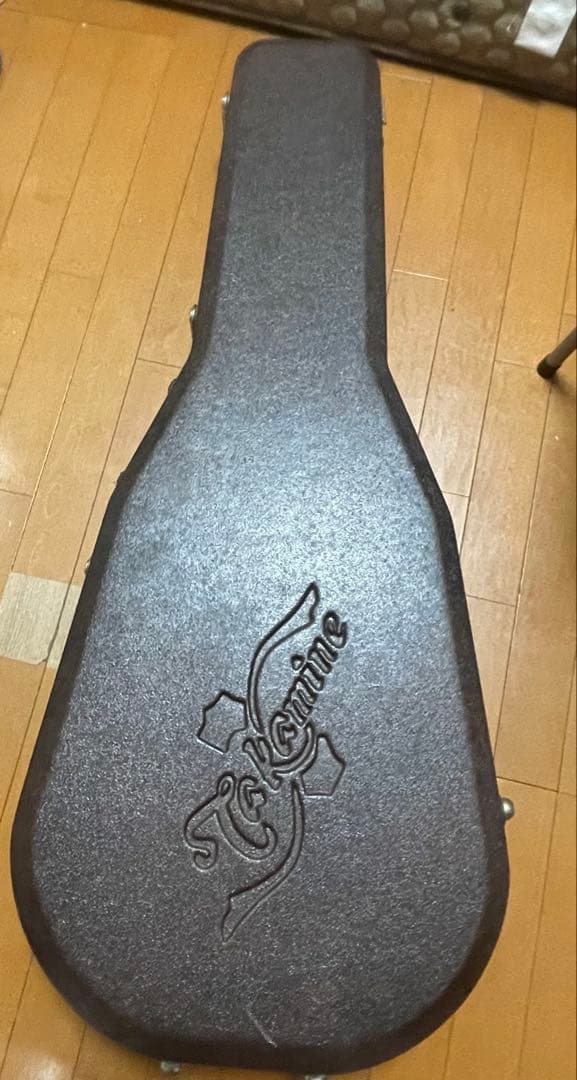 TAKAMINE ギター　ケース