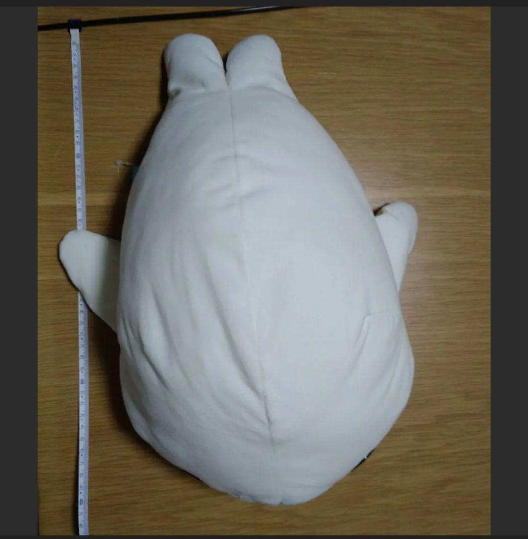 希少　まめゴマ　XＬサイズ　美品　約40センチ