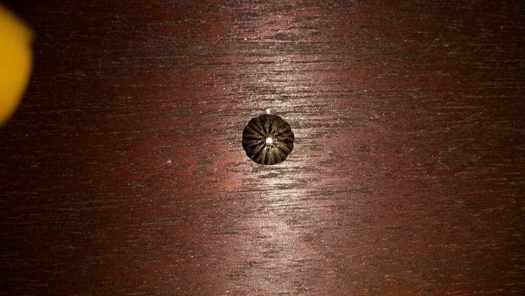 軍刀・儀礼刀サーベル(鞘無し)＋ 刀箱 (自作) ２点セット！