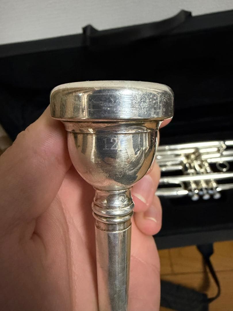 Behning & Sons バストランペット 本体 ケース付き