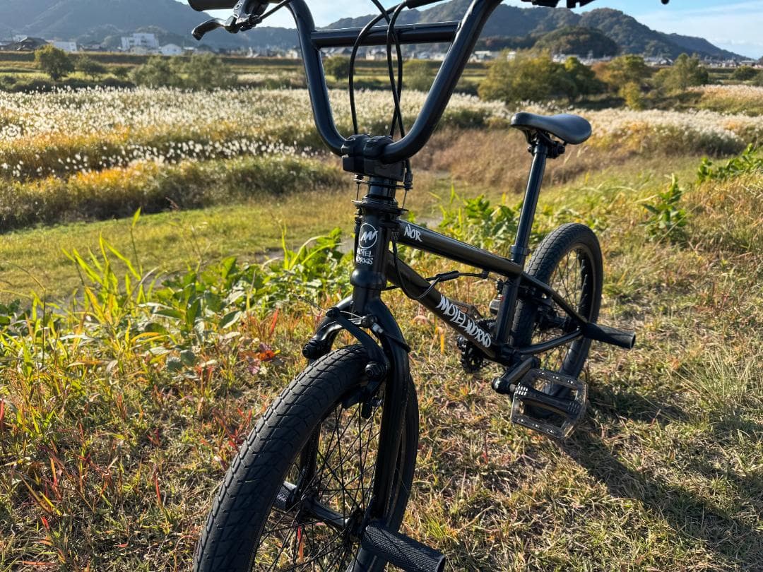 【bakabon】BMX MOTELWORKS NOR・ AUX　2台