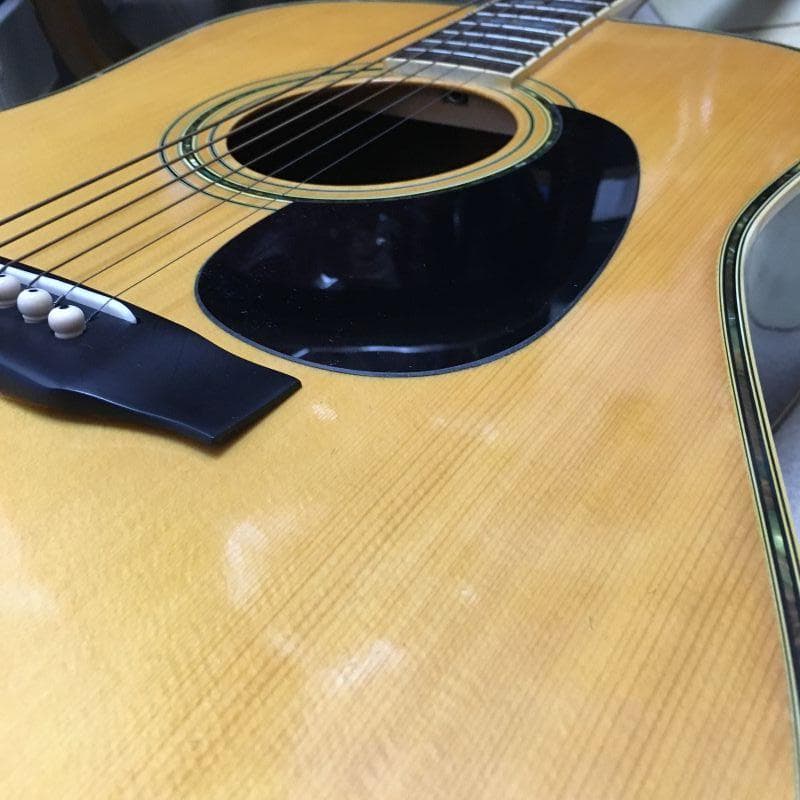 Y ジャンク GLORIA アコースティックギター ケース カポタスト付き