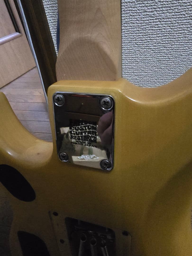 Washburn ワッシュバーン n2 エレキギター