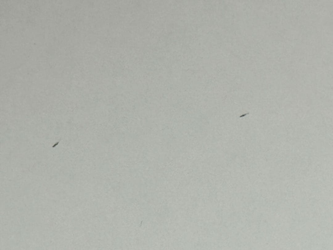 Flexispot パソコンデスク用天板のみ ホワイト 幅160 奥行70