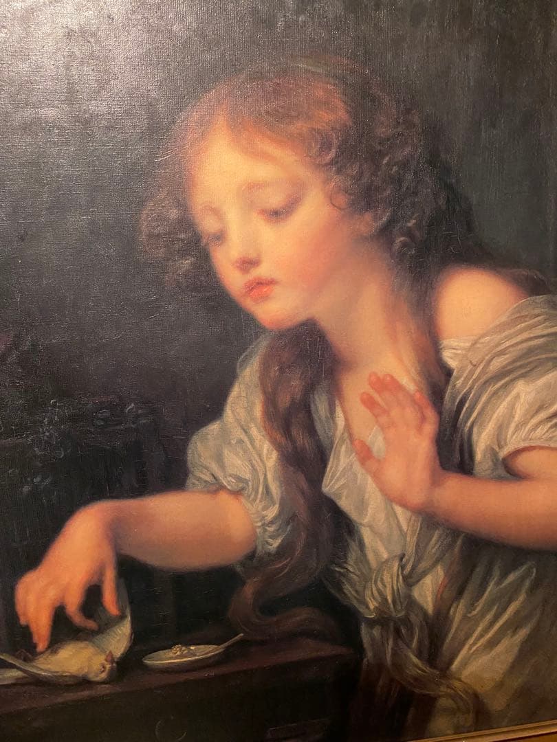 死んだ鳥　肖像画　絵画