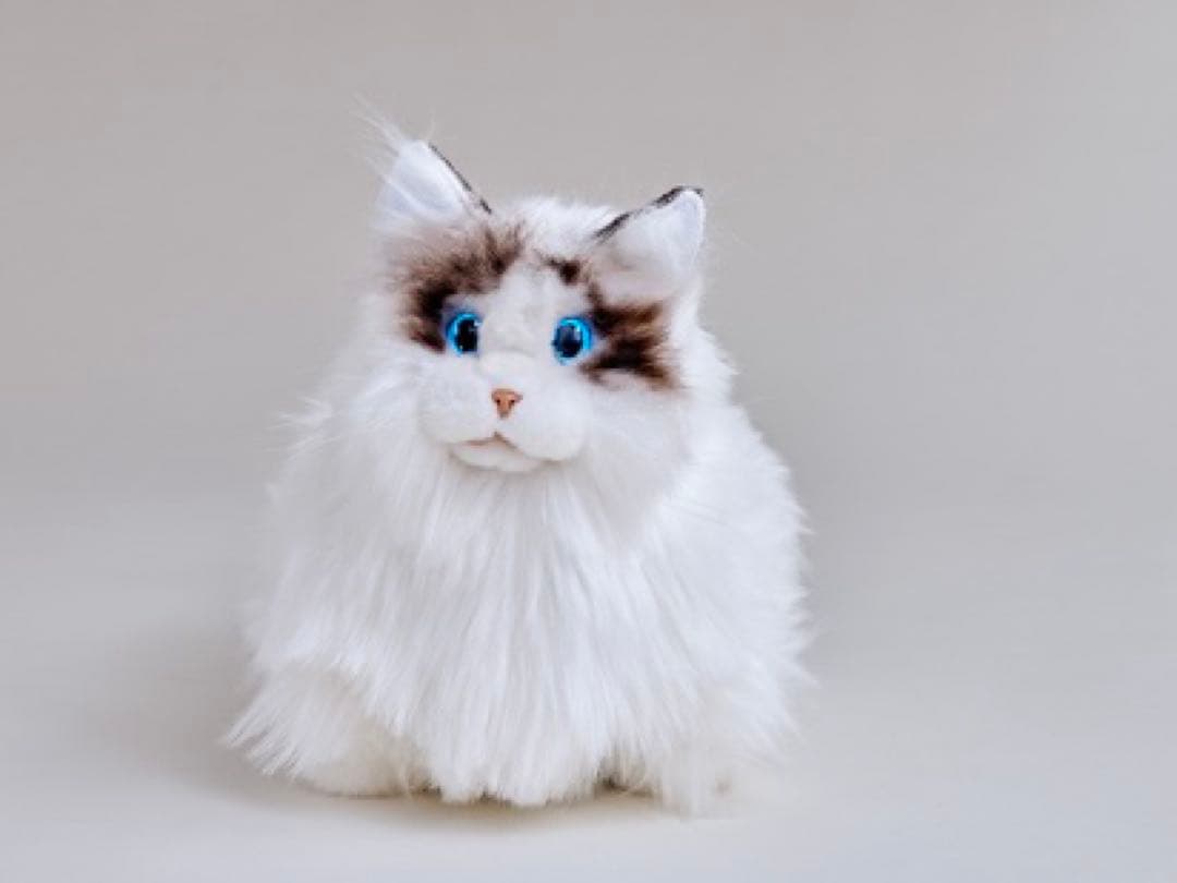 値下げしました！ネコロボット　KIMIT（キミット）追記必読⭐︎