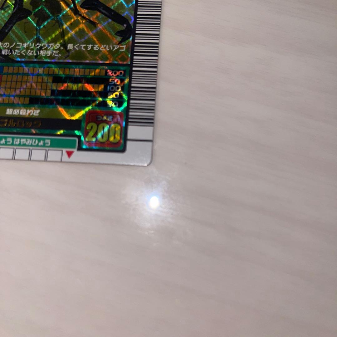 キラファノコギリクワガタ