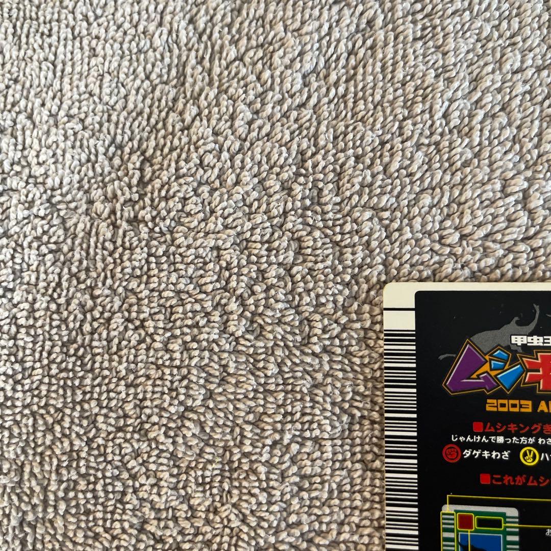 キラファノコギリクワガタ