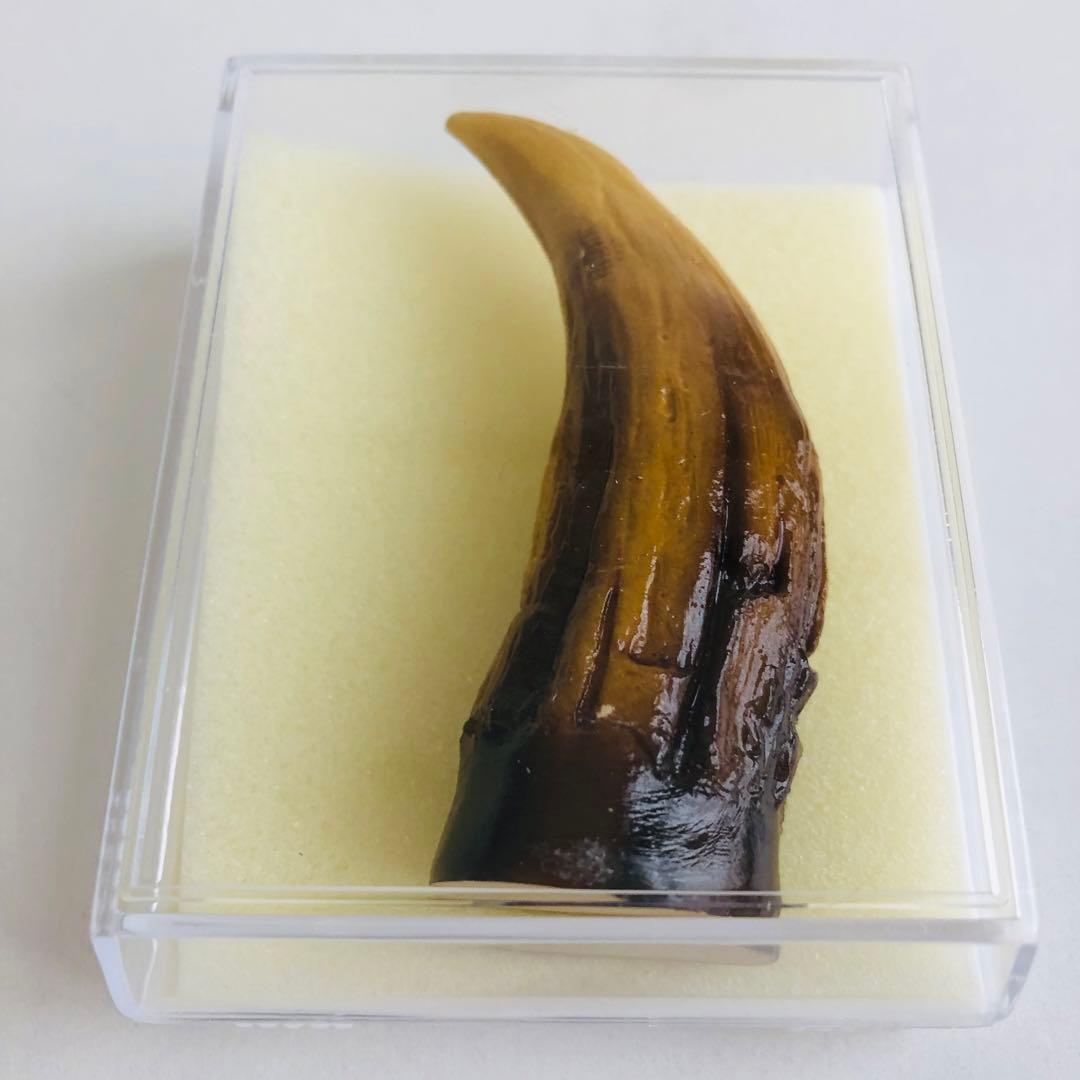 [新品] ゴジラ 爪 レプリカ【匿名配送】