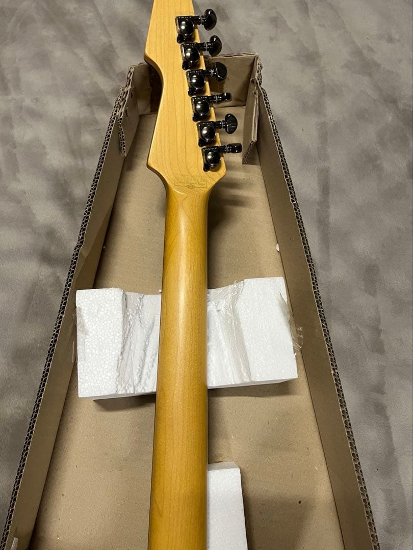 ギター SCHECTER AVENGER