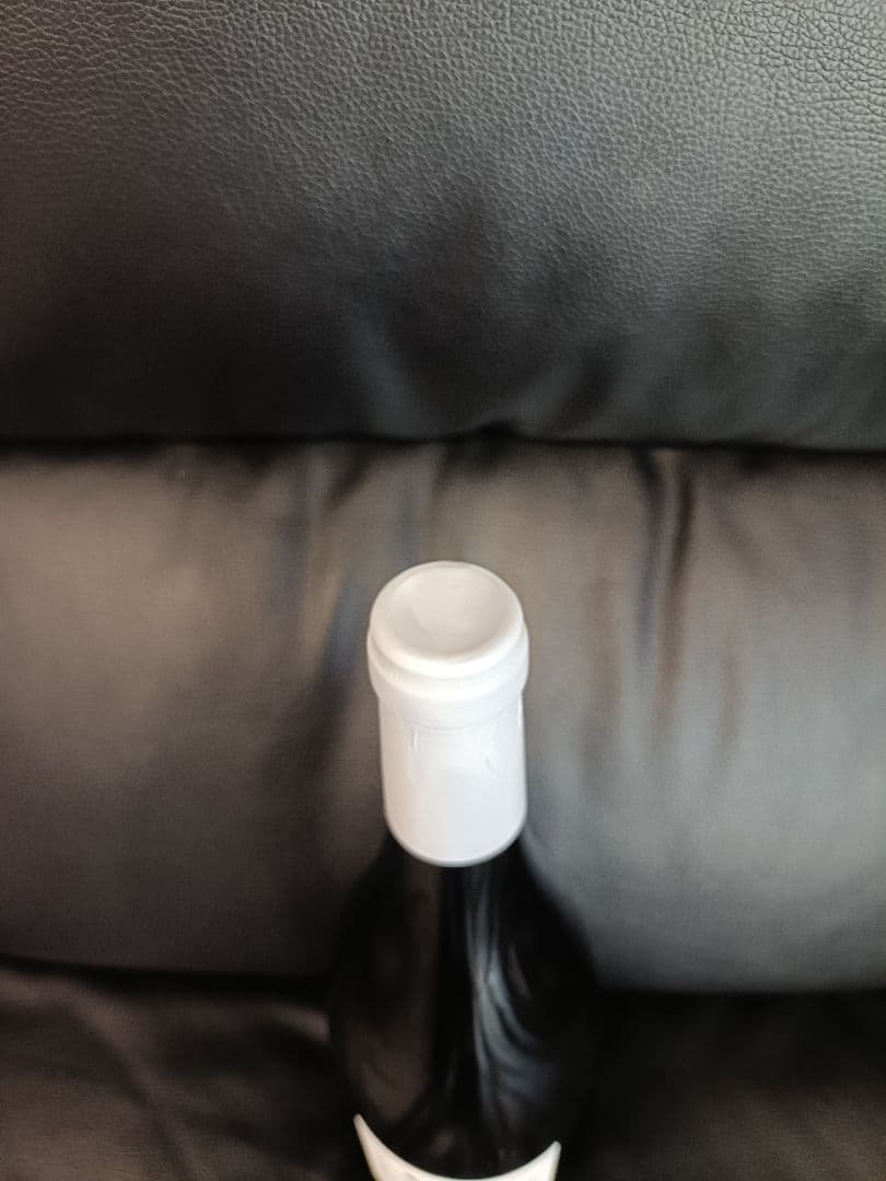 テールドシエル　ピノグリ2022