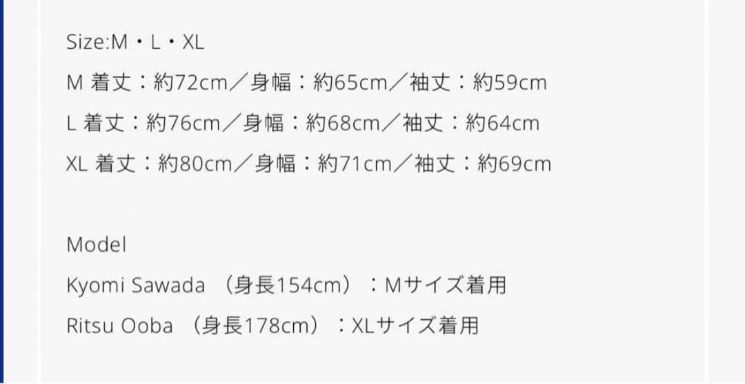 VAWS Logo Hoodie Lサイズ パーカー