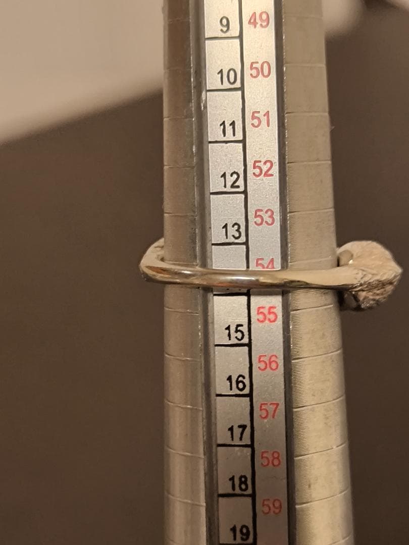 ヴァンドームブティック VB 旭山動物園応援企画 シンリンオオカミ リング