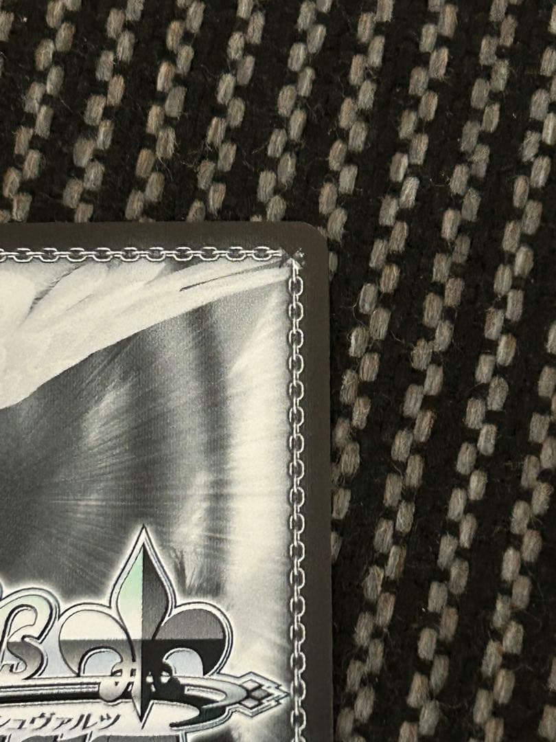 ヴァイスシュヴァルツ 怪獣になった男 怪獣8号 SEC サイン